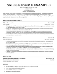 Professional Summary For Sales Resume