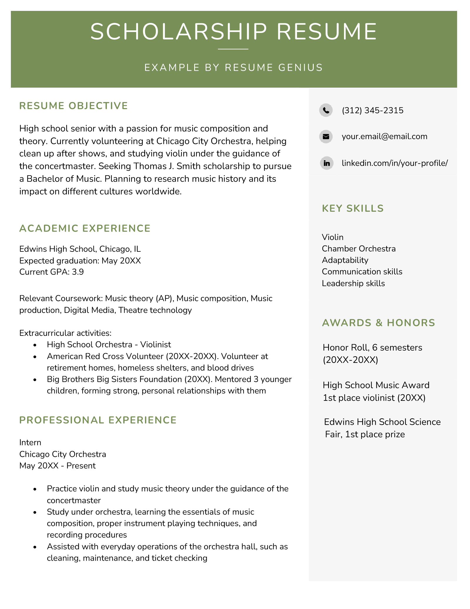 An example of a scholarship resume