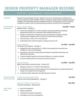 Resume template for a senior-level property manager.