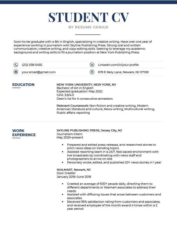 An example of a student CV