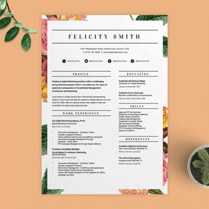 Example of a visual resume with a beautiful border.