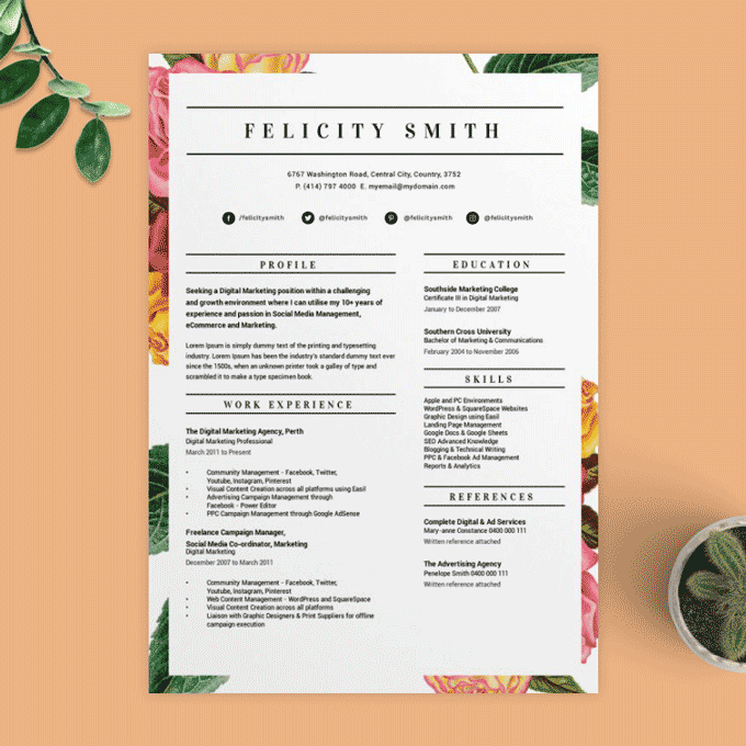 12 Visual Resume Templates We Love for 2024