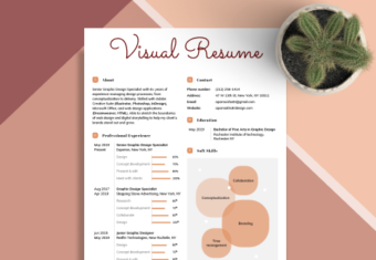 Example of a visual resume.