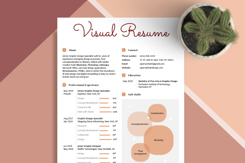 Example of a visual resume.