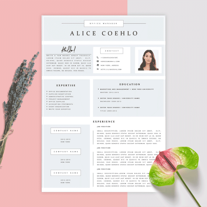 Visual resume template with clearly delineated sections. 