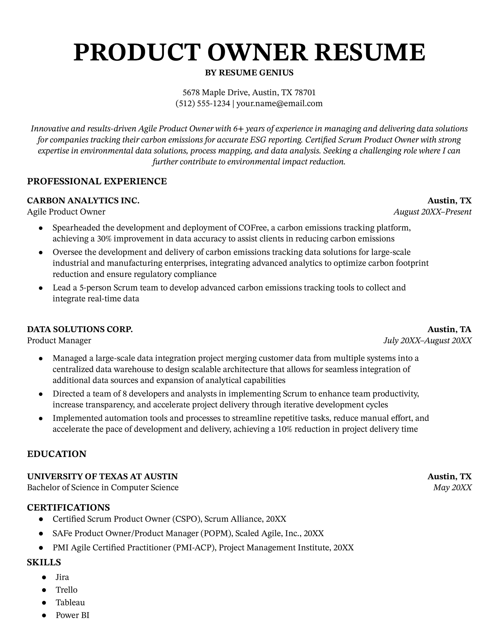 product owner resume example template