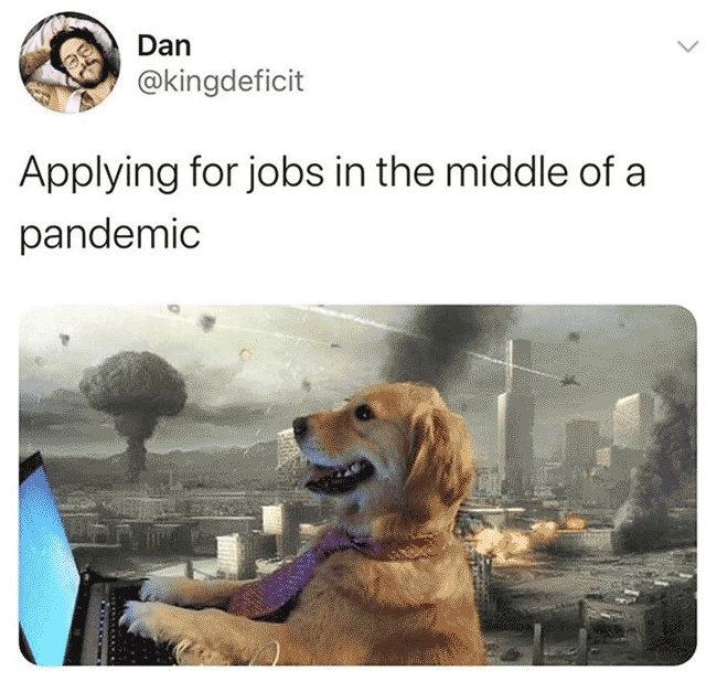 A meme showing a dog on the computer in front of a background of the world on fire and exploding - "applying to jobs in the middle of a pandemic."