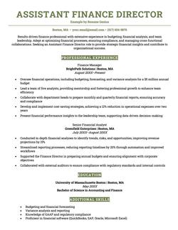 Assistant finance director resume example