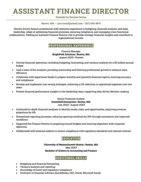 Assistant finance director resume example
