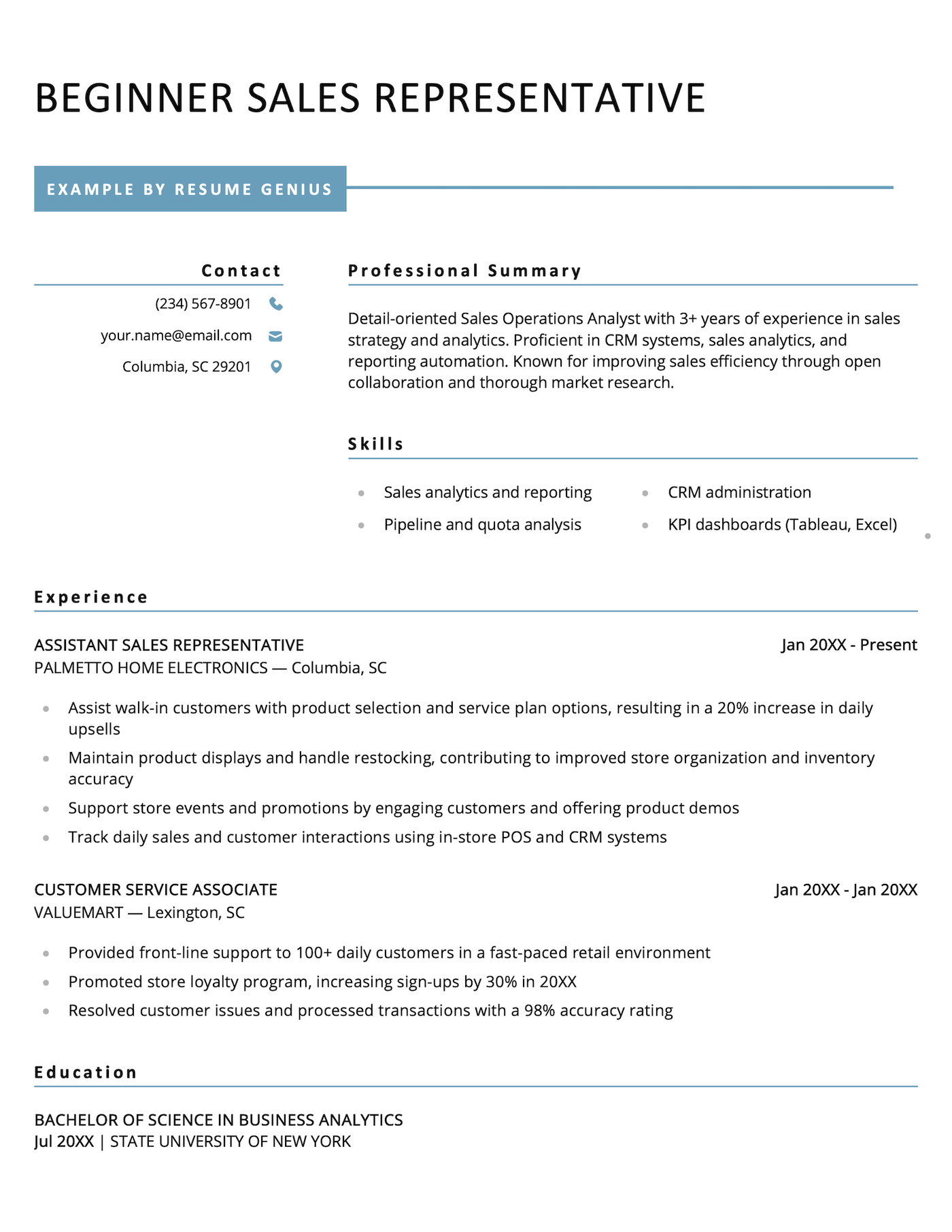 A beginner sales representative resume example.