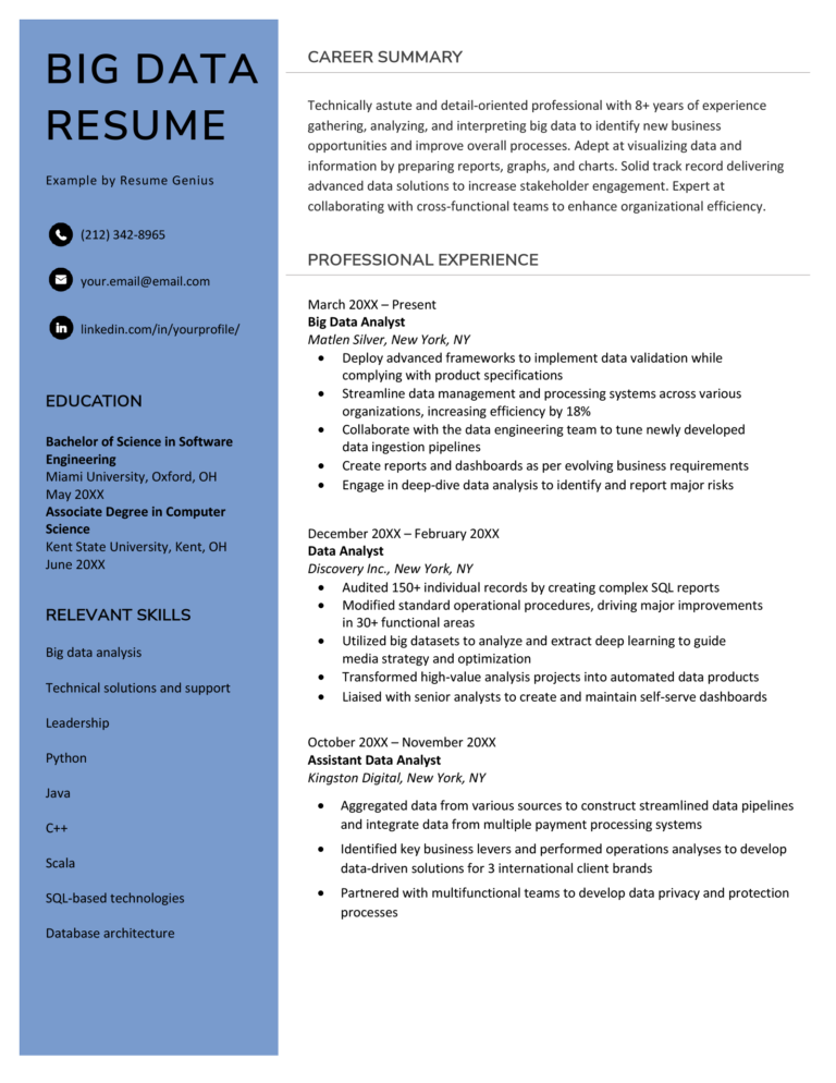 Big Data Resume Sample Template And 24 Skills To Include 6031