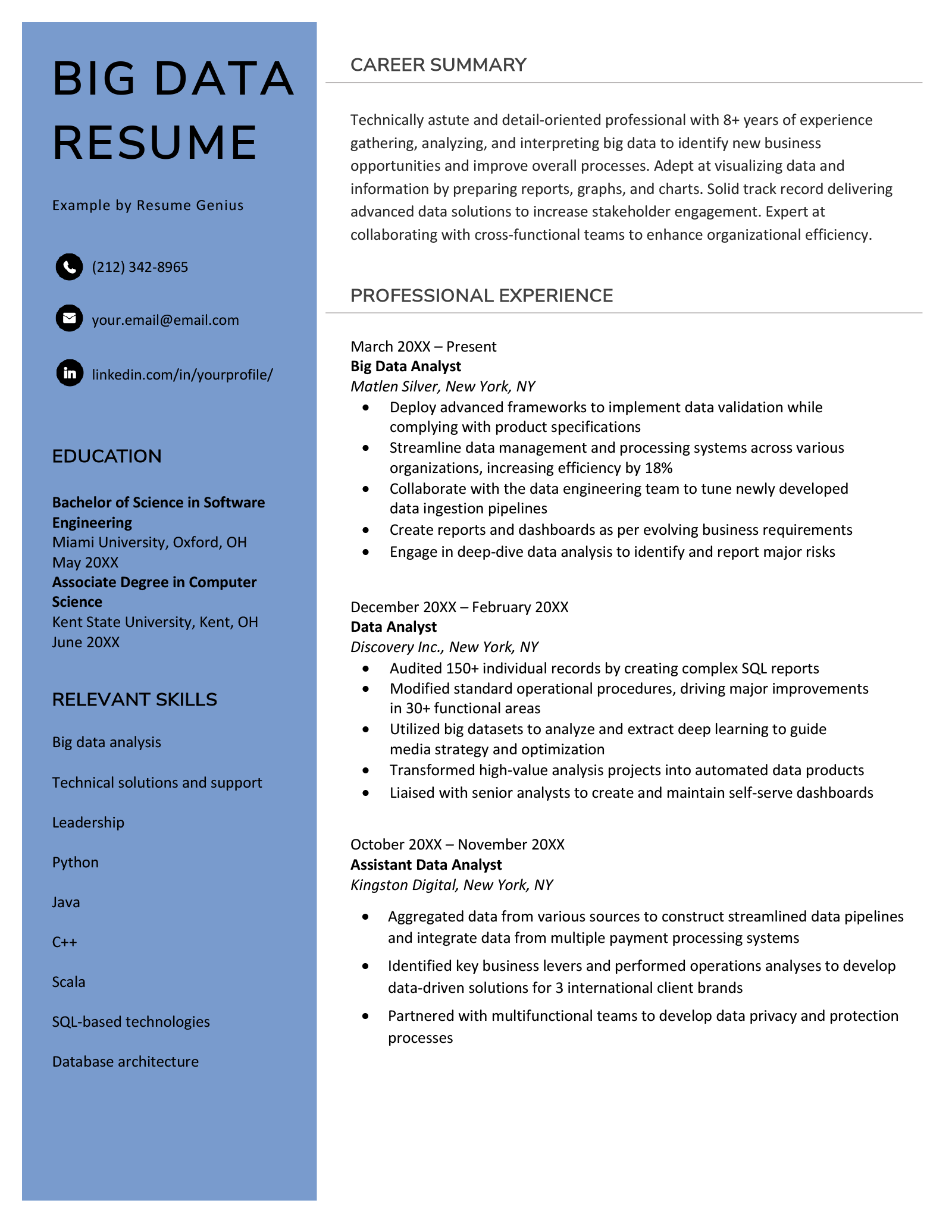 A big data resume sample with a blue left-hand margin to highlight the applicant's professional title, contact information, education and key skills