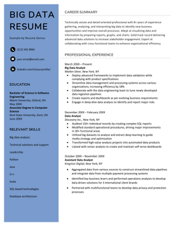 A big data resume sample with a blue left-hand margin to highlight the applicant's professional title, contact information, education and key skills