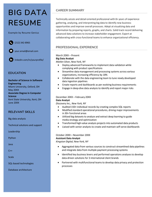 A big data resume sample with a blue left-hand margin to highlight the applicant's professional title, contact information, education and key skills