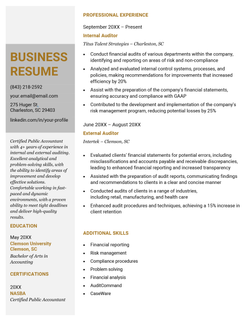 A business resume example written by a candidate applying for an auditor job.