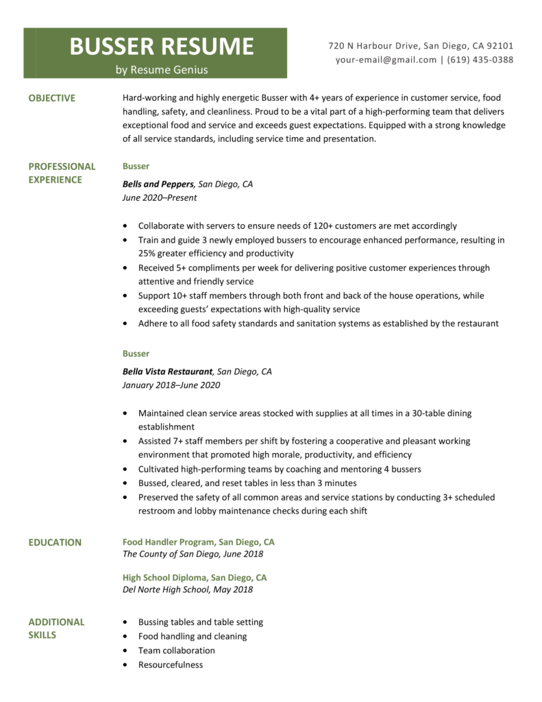 professional summary for resume busser