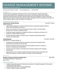 Change Management Resume Bullets 2007george