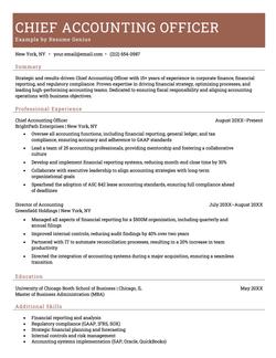 Example of a chief accounting officer resume
