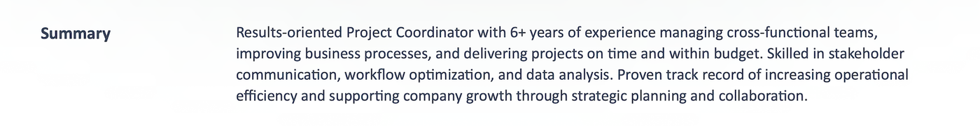 An example resume summary from a combination resume.