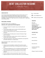 Collection Manager Resume Example