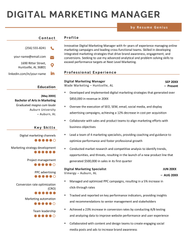 Marketing Manager Resume Example Writing Tips