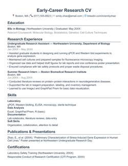 Example of an early career research CV