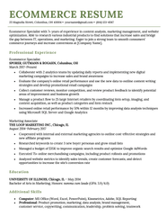 Entry Level Sales Resume Example Free Template