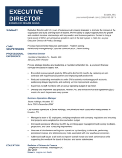 An executive director resume example with a blue header and resume section headers in a left-aligned column