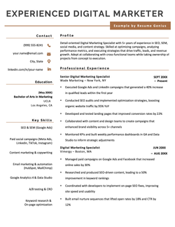 An example of a resume for a digital marketer position.