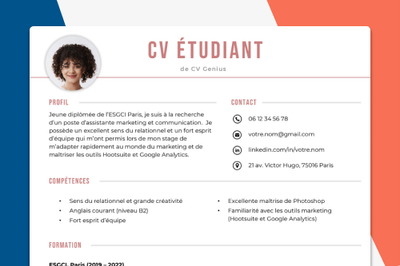 an image of a French resume example