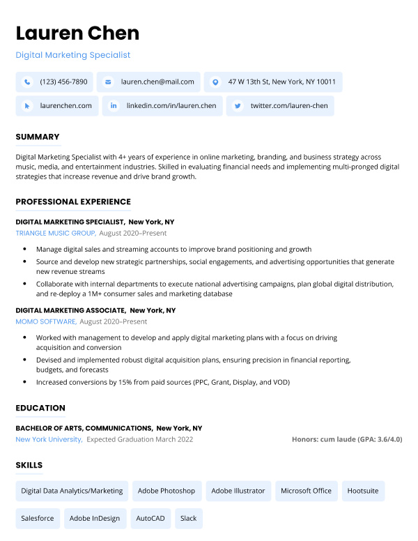 resume format no experience