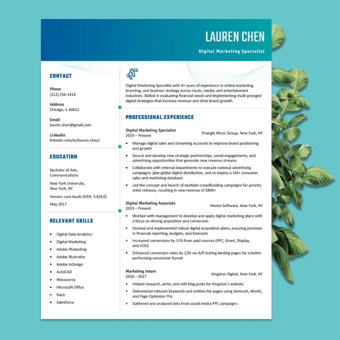 A resume with a blue-turquoise gradient header placed against a turquoise background.