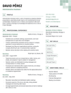 The 'graphite' resume template in green, featuring two columns and decorative squares in the upper right corner