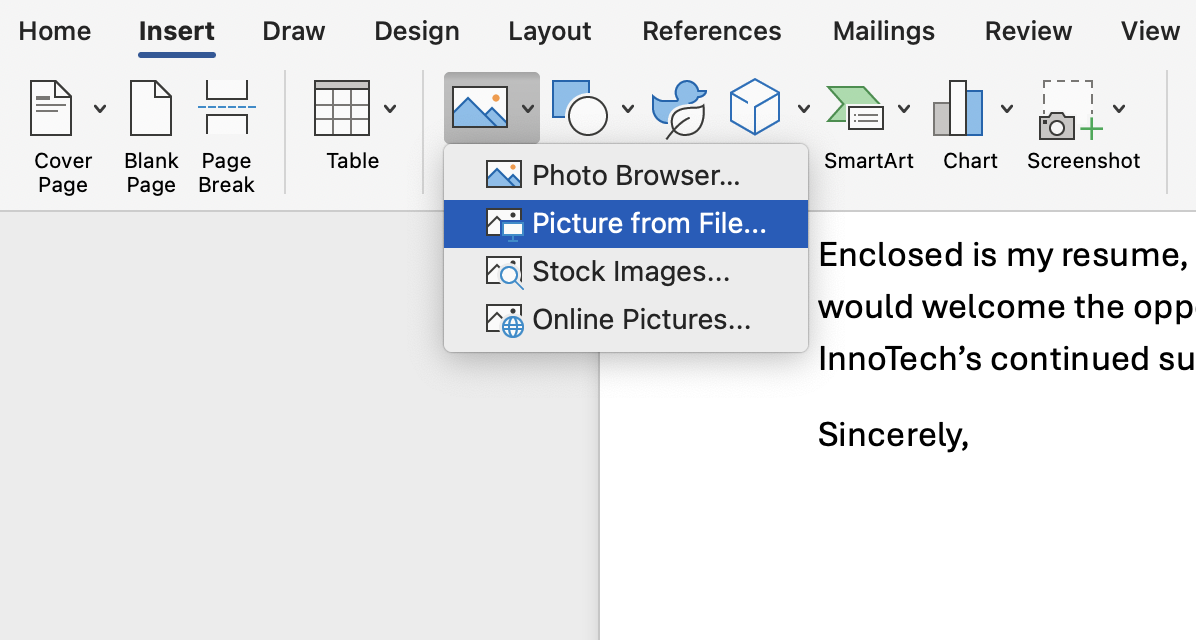 A screenshot showing how to insert a picture into a Word document.