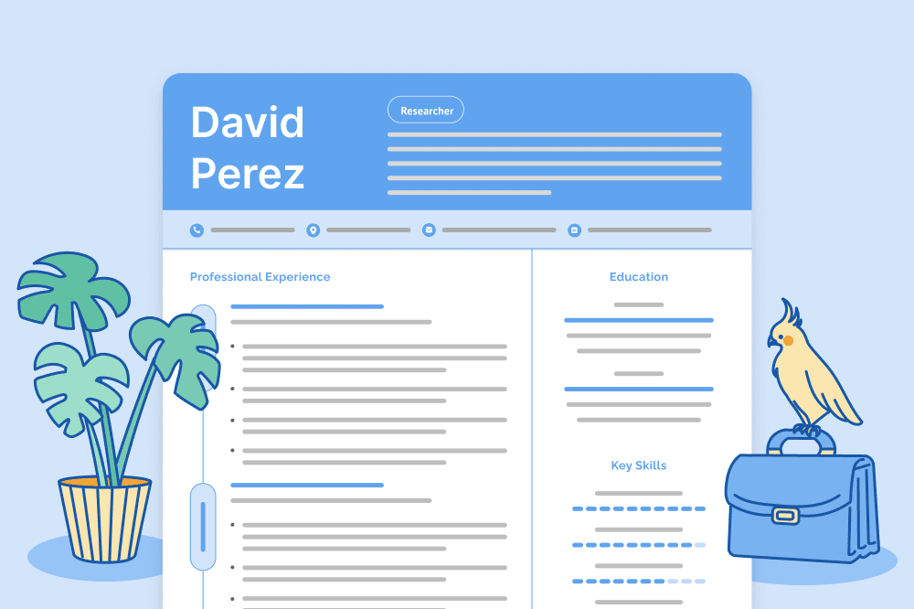 Hero image illustrating how to write a CV for a job