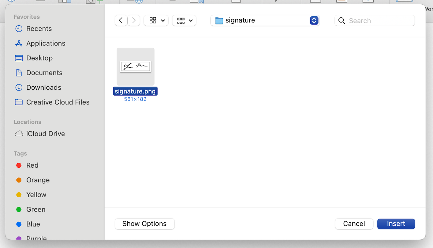 A screenshot showing how to find and insert an image file into a Word document.
