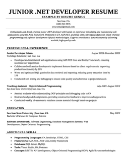 An example junior NET developer resume
