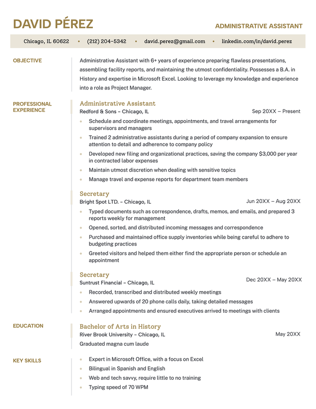Legacy resume template in brown