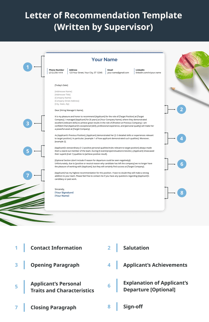 Letter of Recommendation: How to Write   Samples Templates (2023)