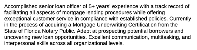 loan officer resume summary example