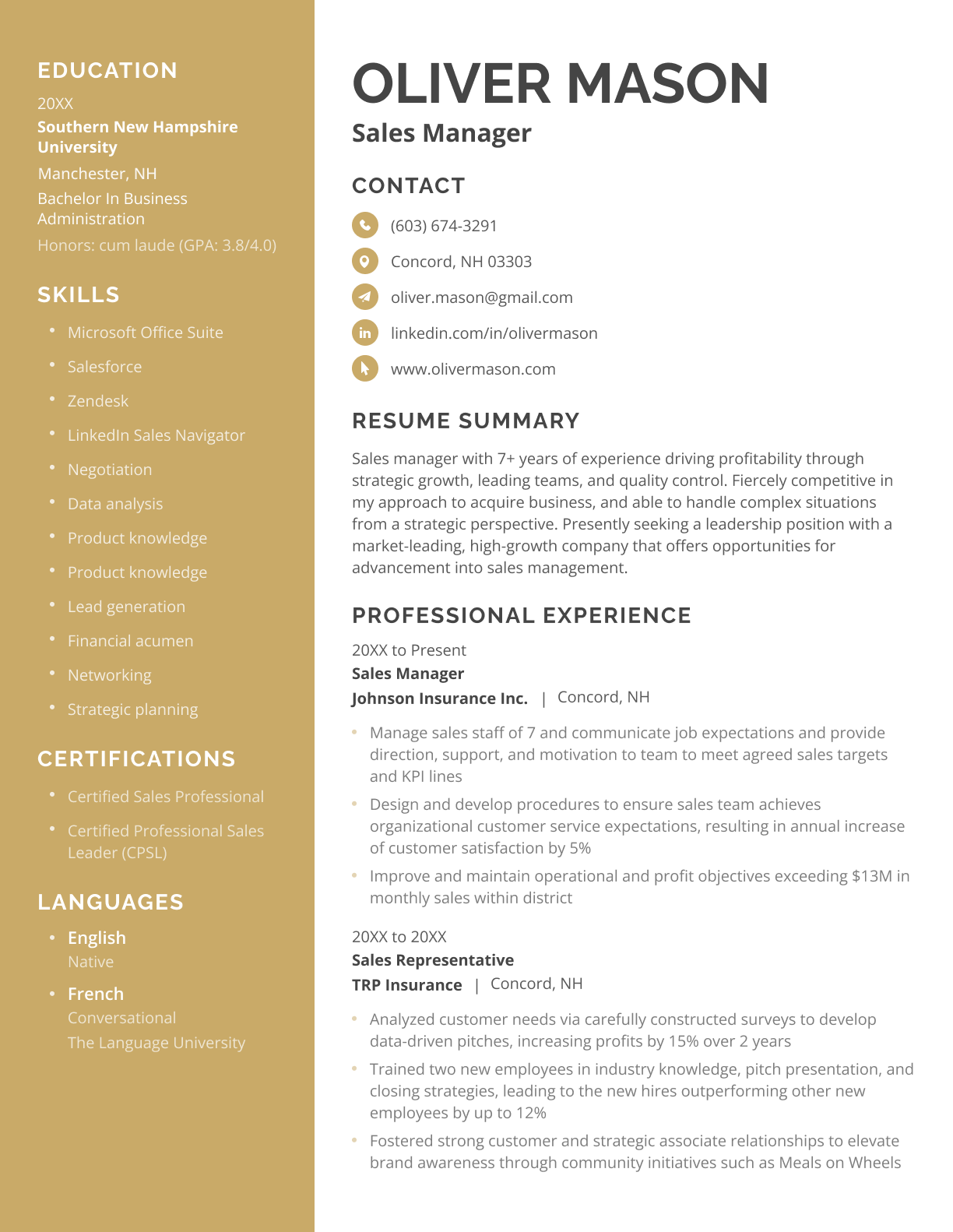 Magnate CV template in yellow