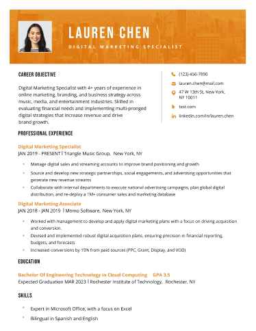 majestic-resume-template-orange