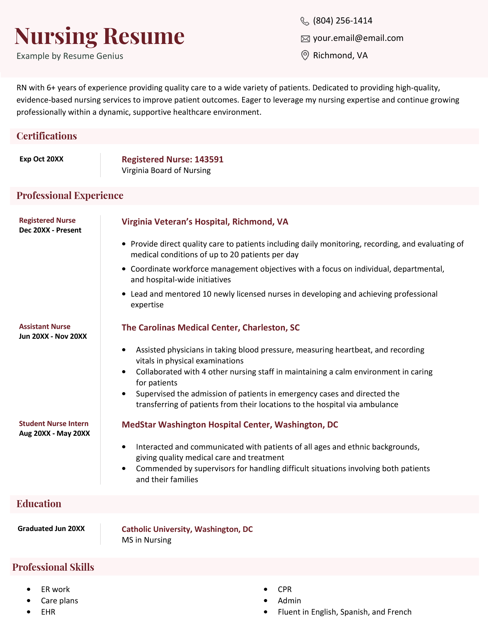 Nursing resume example using a space-efficient, red design that's highly formal