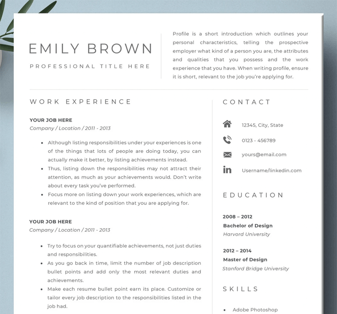 A clean-looking resume template with a header containing the candidate's name, job title and resume profile.