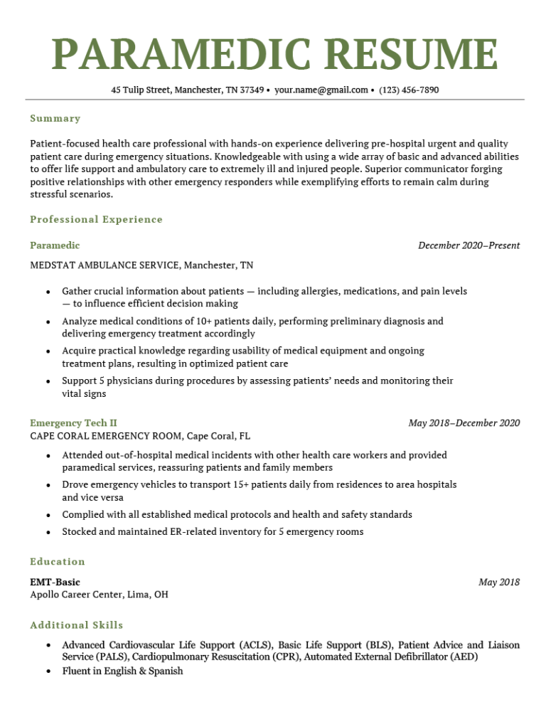 paramedic professional summary on resume