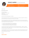 The Original Picture picture cover letter template in orange