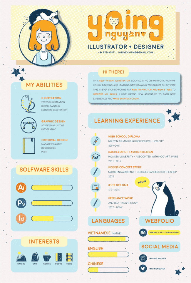 Example of an illustrated infographic resume.