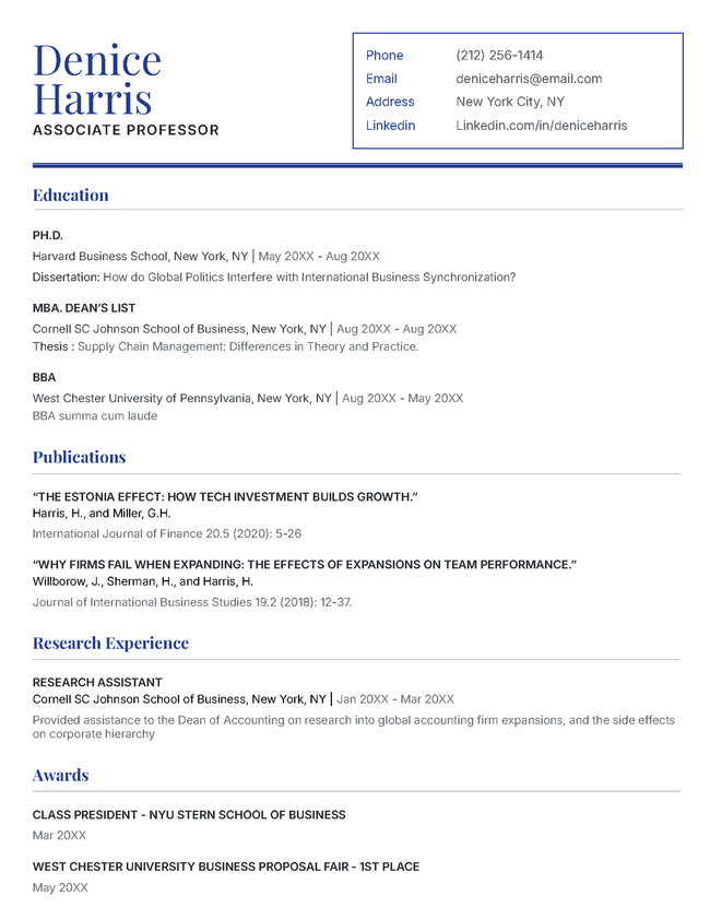 Page 1 of the Pro CV template in Navy Blue