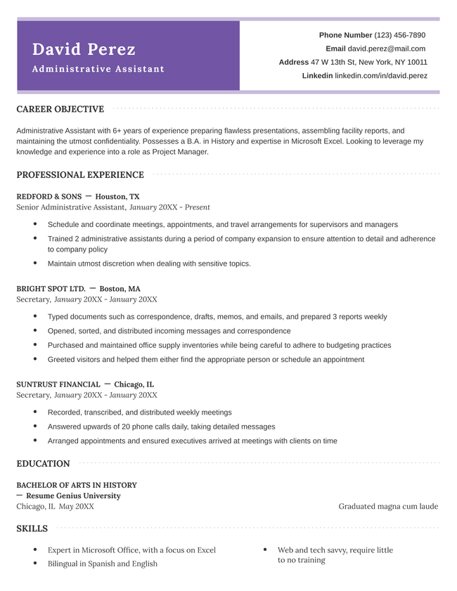 Professional Resume Violet