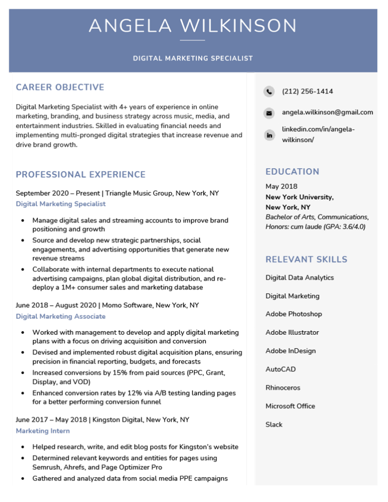 8+ Best Resume Layout Examples for 2024